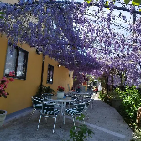 Casa Da Vieira