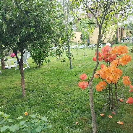 Casa Da Vieira Guest house